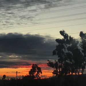 Meet your Posher, Lena